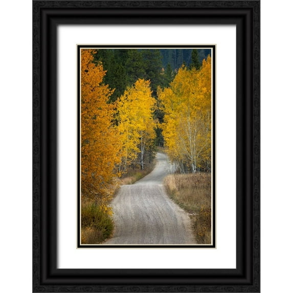Jones, Adam 13x18 Black Ornate Wood Framed with Double Matting Museum Art Print Titled - Gravel backroad and autumn aspen trees-Grand Teton National Park-Wyoming