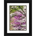 thumbnail image 1 of Jones, Adam 13x18 Black Ornate Wood Framed with Double Matting Museum Art Print Titled - Soft focus view of flowering dogwood tree and distant Eastern redbud-Kentucky, 1 of 4