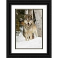 thumbnail image 1 of Jones, Adam 13x18 Black Ornate Wood Framed with Double Matting Museum Art Print Titled - Tundra wolf-Canis lupus albus-in winter-controlled situation-Montana, 1 of 4