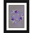 thumbnail image 1 of Jones, Adam 13x18 Black Ornate Wood Framed with Double Matting Museum Art Print Titled - Lupine flower-Napa Valley-California, 1 of 4