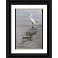 thumbnail image 1 of Jones, Adam 13x18 Black Ornate Wood Framed with Double Matting Museum Art Print Titled - Snowy Egret riding on top of American alligator-Florida, 1 of 4
