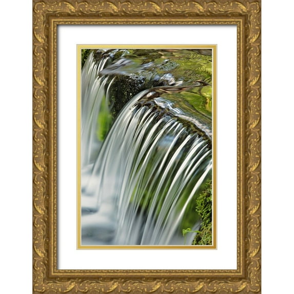 Jones, Adam 13x18 Gold Ornate Wood Framed with Double Matting Museum Art Print Titled - Cascading water-Fern Spring-Yosemite National Park-California