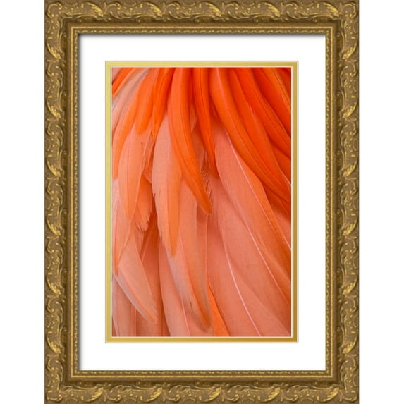 Jones, Adam 13x18 Gold Ornate Wood Framed with Double Matting Museum Art Print Titled - Pattern in pink American flamingo feathers