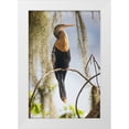thumbnail image 1 of Jones, Adam 13x18 White Modern Wood Framed Museum Art Print Titled - Female Anhinga Circle B Ranch-Florida, 1 of 4