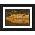 thumbnail image 1 of Jones, Adam 14x11 Black Ornate Wood Framed with Double Matting Museum Art Print Titled - Autumn view of willows and aspen trees along shoreline of Two Ocean Lake-Grand Teton National Park, 1 of 4