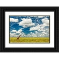 thumbnail image 1 of Jones, Adam 14x11 Black Ornate Wood Framed with Double Matting Museum Art Print Titled - Masai Giraffe on open plains of Serengeti National Park-Tanzania-Africa-Giraffa, 1 of 4