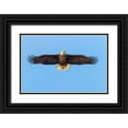 thumbnail image 1 of Jones, Adam 14x11 Black Ornate Wood Framed with Double Matting Museum Art Print Titled - Bald eagle flying-Florida, 1 of 4
