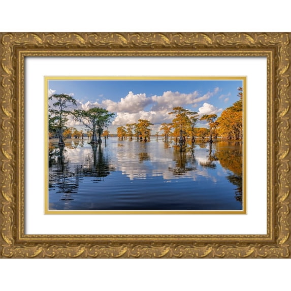 Jones, Adam 14x11 Gold Ornate Wood Framed with Double Matting Museum Art Print Titled - Bald cypress trees in autumn reflected on lake Caddo Lake-Uncertain-Texas