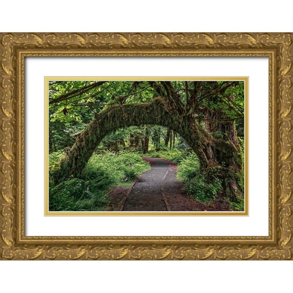 Jones, Adam 14x11 Gold Ornate Wood Framed with Double Matting Museum Art Print Titled - Footpath through forest draped with Club Moss-Hoh Rainforest-Olympic National Park-Washington State