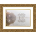 thumbnail image 1 of Jones, Adam 14x11 Gold Ornate Wood Framed with Double Matting Museum Art Print Titled - Trees on foggy morning-Bosque del Apache National Wildlife Refuge-New Mexico, 1 of 4