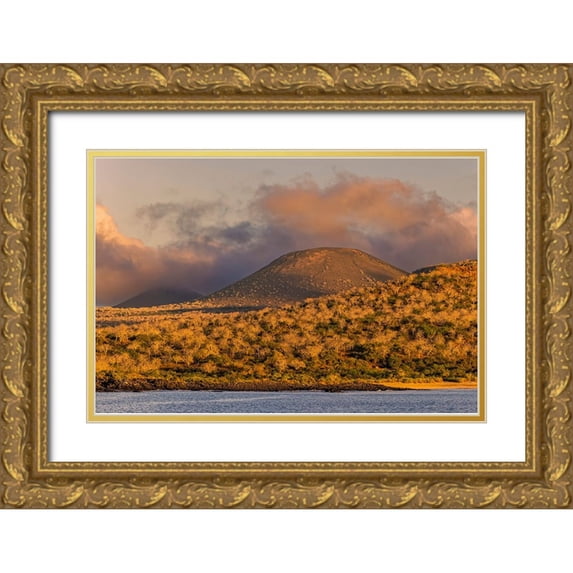 Jones, Adam 14x11 Gold Ornate Wood Framed with Double Matting Museum Art Print Titled - Santiago Island-Galapagos Islands-Ecuador