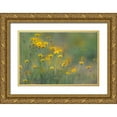 thumbnail image 1 of Jones, Adam 14x11 Gold Ornate Wood Framed with Double Matting Museum Art Print Titled - Soft focus view of coreopsis flowers-Rio Grande Valley-Texas, 1 of 4