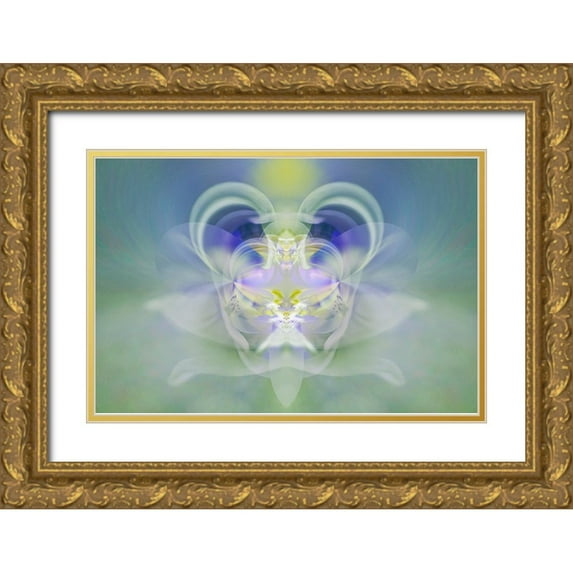 Jones, Adam 14x11 Gold Ornate Wood Framed with Double Matting Museum Art Print Titled - Star of Bethlehem