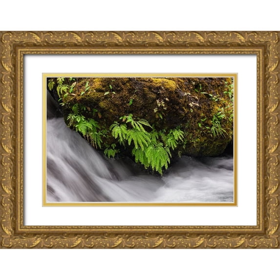 Jones, Adam 14x11 Gold Ornate Wood Framed with Double Matting Museum Art Print Titled - Stream and maidenhair ferns-Columbia River Gorge-Oregon
