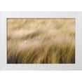 thumbnail image 1 of Jones, Adam 14x11 White Modern Wood Framed Museum Art Print Titled - Abstract view of grasses blowing in the wind-Merritt Island National Wildlife Refuge-Florida, 1 of 4