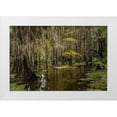 thumbnail image 1 of Jones, Adam 14x11 White Modern Wood Framed Museum Art Print Titled - Cypress trees and Spanish moss lining shoreline of Caddo Lake-Uncertain-Texas, 1 of 4