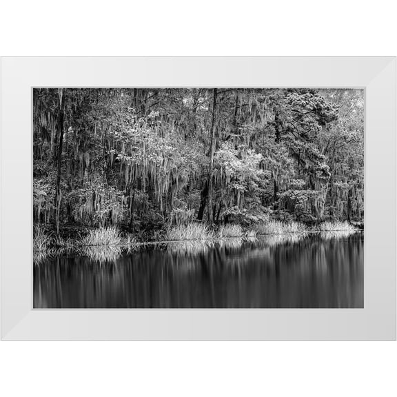 Jones, Adam 14x11 White Modern Wood Framed Museum Art Print Titled - Cypress trees and Spanish moss lining shoreline of Caddo Lake-Uncertain-Texas