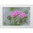 thumbnail image 1 of Jones, Adam 14x11 White Modern Wood Framed Museum Art Print Titled - Doves Foot Geranium-Geranium molle-Columbia River Gorge-Oregon, 1 of 4