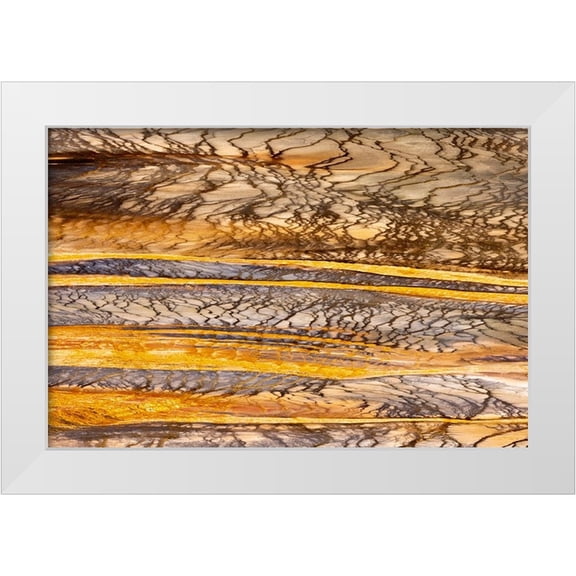 Jones, Adam 14x11 White Modern Wood Framed Museum Art Print Titled - Elevated view of patterns in bacterial mat around Grand Prismatic spring