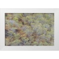 thumbnail image 1 of Jones, Adam 14x11 White Modern Wood Framed Museum Art Print Titled - Hillside of palo Santo trees San Cristobal Island-Galapagos Islands-Ecuador, 1 of 4