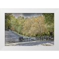 thumbnail image 1 of Jones, Adam 14x11 White Modern Wood Framed Museum Art Print Titled - Light snow on trees in early spring-Louisville-Kentucky, 1 of 4