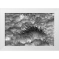thumbnail image 1 of Jones, Adam 14x11 White Modern Wood Framed Museum Art Print Titled - Paramo grass-Antisana Ecological Reserve-Ecuador, 1 of 4