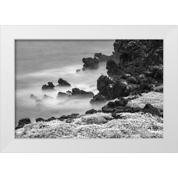 Jones, Adam 14x11 White Modern Wood Framed Museum Art Print Titled - Rocky shoreline covered in Sesuvium-South Plaza Island-Galapagos Islands-Ecuador