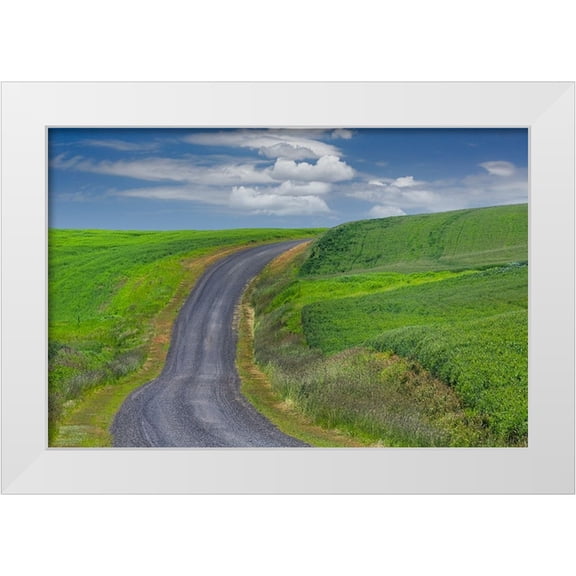 Jones, Adam 14x11 White Modern Wood Framed Museum Art Print Titled - Rural road through rolling wheat fields-Palouse region of eastern Washington State