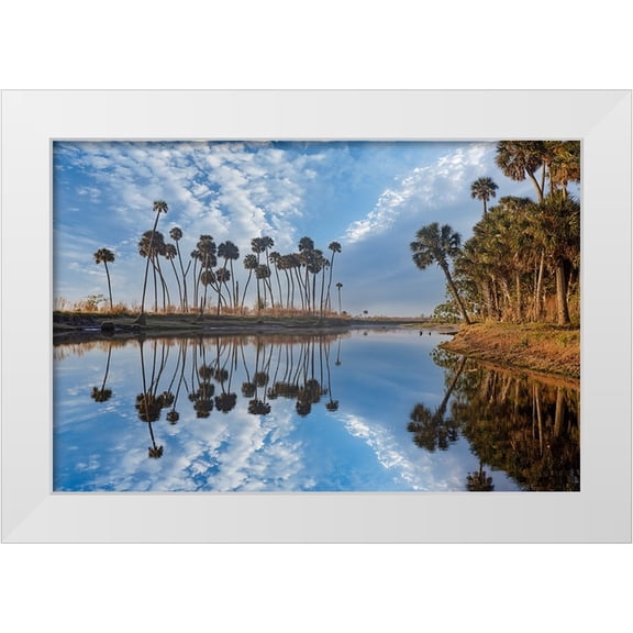 Jones, Adam 14x11 White Modern Wood Framed Museum Art Print Titled - Sable palms reflected on the Econlockhatchee River
