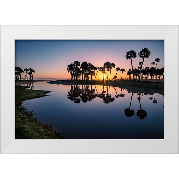 Jones, Adam 14x11 White Modern Wood Framed Museum Art Print Titled - Sable palms silhouetted at sunrise on the Econlockhatchee River