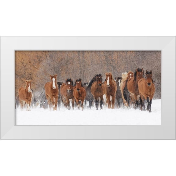 Jones, Adam 14x9 White Modern Wood Framed Museum Art Print Titled - Panoramic view of rodeo horses running during winter roundup-Kalispell-Montana