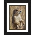 thumbnail image 1 of Jones, Adam 17x24 Black Ornate Wood Framed with Double Matting Museum Art Print Titled - Black-tailed prairie dog-Greycliff Prairie Dog Town State Park-near Livingston-Montana, 1 of 4