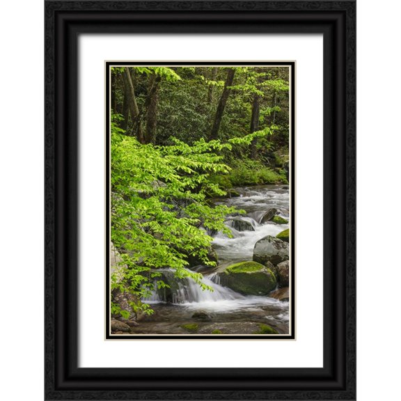 Jones, Adam 17x24 Black Ornate Wood Framed with Double Matting Museum Art Print Titled - Cascading mountain stream-Great Smoky Mountains National Park-Tennessee-North Carolina