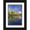 thumbnail image 1 of Jones, Adam 17x24 Black Ornate Wood Framed with Double Matting Museum Art Print Titled - Early spring view of cypress trees reflecting on blackwater area of St Johns River-central Florida, 1 of 4
