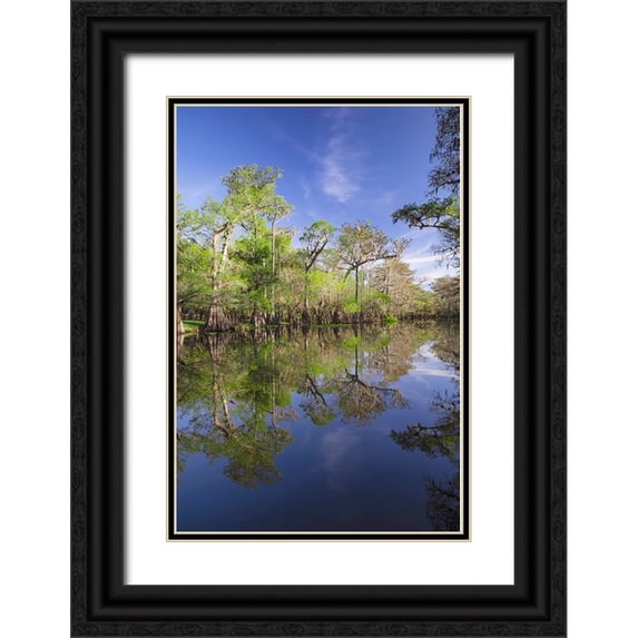 Jones, Adam 17x24 Black Ornate Wood Framed with Double Matting Museum Art Print Titled - Early spring view of cypress trees reflecting on blackwater area of St Johns River-central Florida