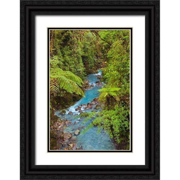 Jones, Adam 17x24 Black Ornate Wood Framed with Double Matting Museum Art Print Titled - Small stream or creek-Costa Rica