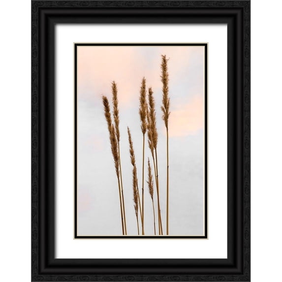 Jones, Adam 17x24 Black Ornate Wood Framed with Double Matting Museum Art Print Titled - Sunset Pond I