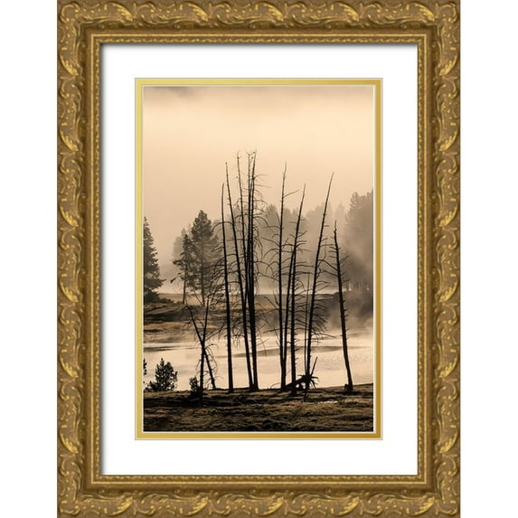 Jones, Adam 17x24 Gold Ornate Wood Framed with Double Matting Museum Art Print Titled - Dead trees near geothermal feature-Yellowstone National Park-Wyoming