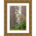 thumbnail image 1 of Jones, Adam 17x24 Gold Ornate Wood Framed with Double Matting Museum Art Print Titled - Redwood trees and Pacific Rhododendron in fog-Redwood National Park-California, 1 of 4