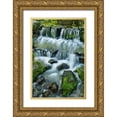 thumbnail image 1 of Jones, Adam 17x24 Gold Ornate Wood Framed with Double Matting Museum Art Print Titled - Cascading water-Fern Spring-Yosemite National Park-California, 1 of 4