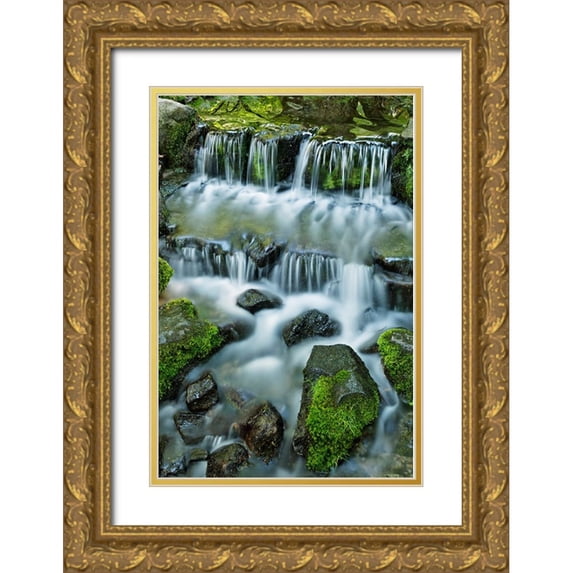 Jones, Adam 17x24 Gold Ornate Wood Framed with Double Matting Museum Art Print Titled - Cascading water-Fern Spring-Yosemite National Park-California