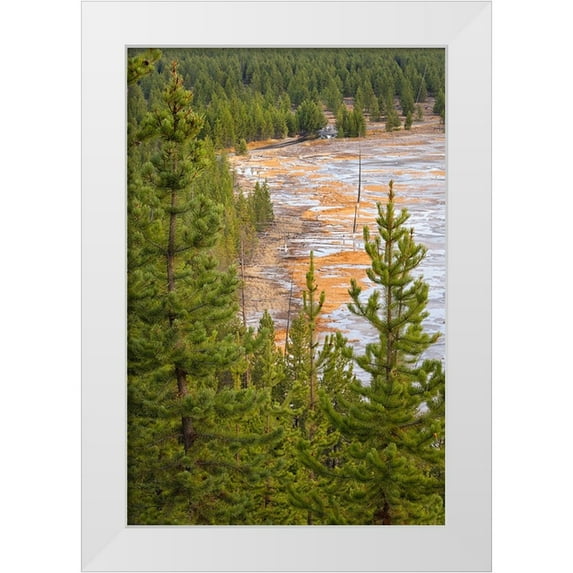 Jones, Adam 17x24 White Modern Wood Framed Museum Art Print Titled - Elevated view of runoff water and bacterial mat-Grand Prismatic spring
