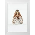 thumbnail image 1 of Jones, Adam 17x24 White Modern Wood Framed Museum Art Print Titled - Fox Sparrow foraging in snow, 1 of 4
