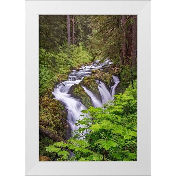 Jones, Adam 17x24 White Modern Wood Framed Museum Art Print Titled - Sol Duc River and Falls-Olympic National Park-Washington State