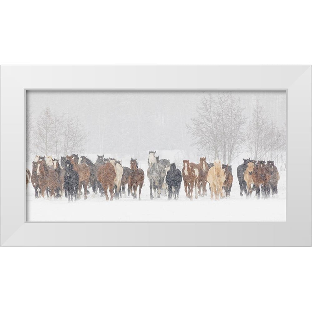 Jones, Adam 18x11 White Modern Wood Framed Museum Art Print