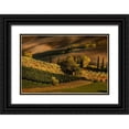 thumbnail image 1 of Jones, Adam 18x13 Black Ornate Wood Framed with Double Matting Museum Art Print Titled - Afternoon light on vineyard and olive trees-Tuscany region of Italy, 1 of 4