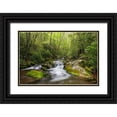 thumbnail image 1 of Jones, Adam 18x13 Black Ornate Wood Framed with Double Matting Museum Art Print Titled - Cascading mountain stream-Great Smoky Mountains National Park-Tennessee-North Carolina, 1 of 4