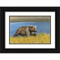 thumbnail image 1 of Jones, Adam 18x13 Black Ornate Wood Framed with Double Matting Museum Art Print Titled - Grizzly bear-Lake Clark National Park and Preserve-Alaska-Silver Salmon Creek, 1 of 4