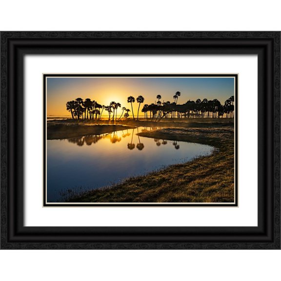 Jones, Adam 18x13 Black Ornate Wood Framed with Double Matting Museum Art Print Titled - Sable palms silhouetted at sunrise on the Econlockhatchee River