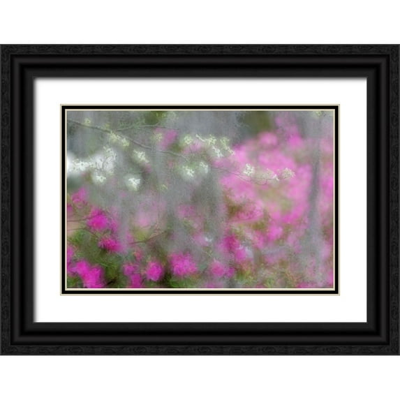 Jones, Adam 18x13 Black Ornate Wood Framed with Double Matting Museum Art Print Titled - Soft focus view of flowering dogwood trees and azaleas in full bloom in spring-Bonaventure Cemetery